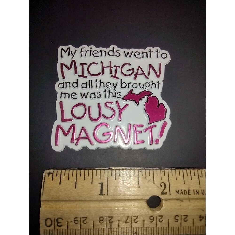 Michigan Friends All They Brought Me Was This Lousy Magnet‎ Travel Souvenir Gift